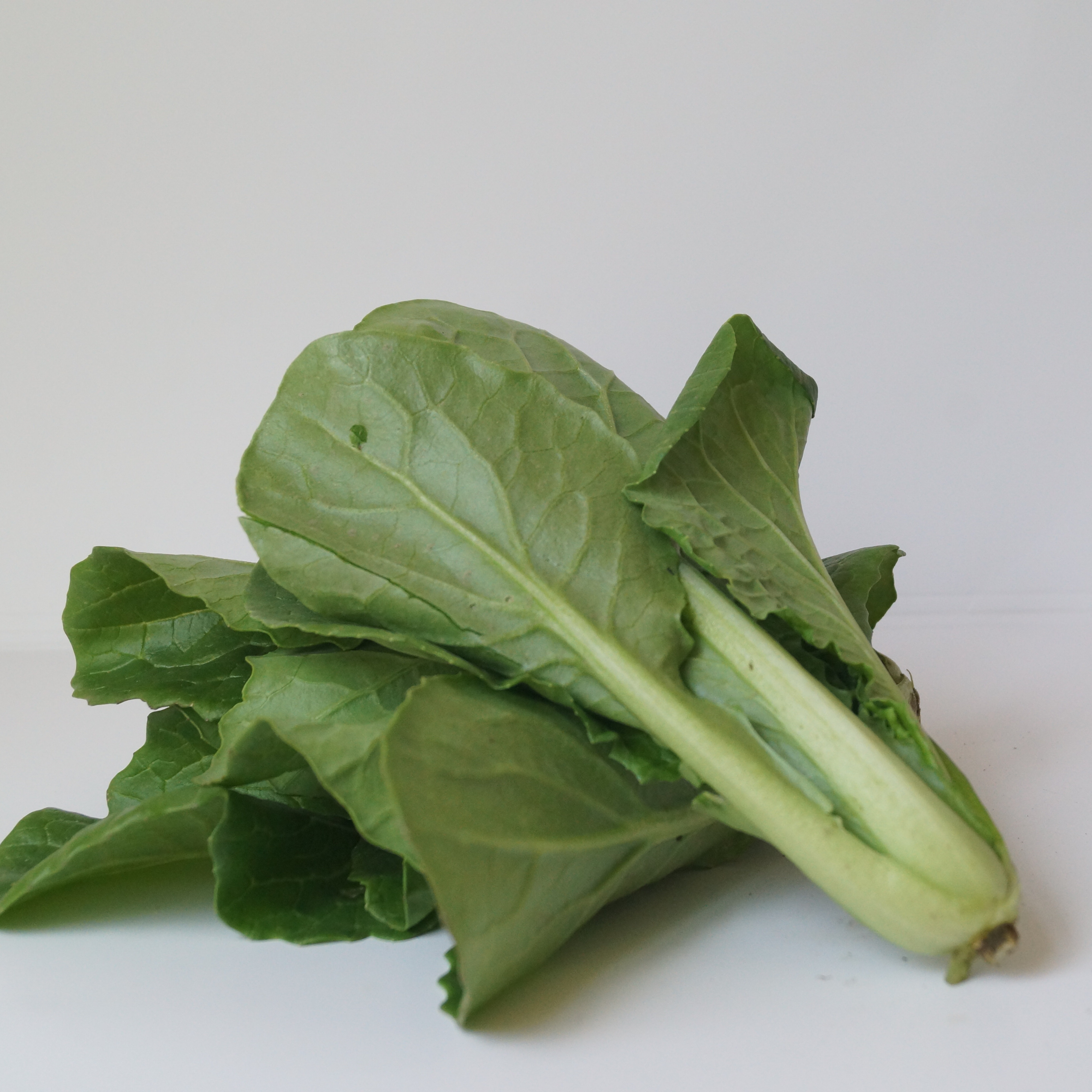 小白菜｜静物自产