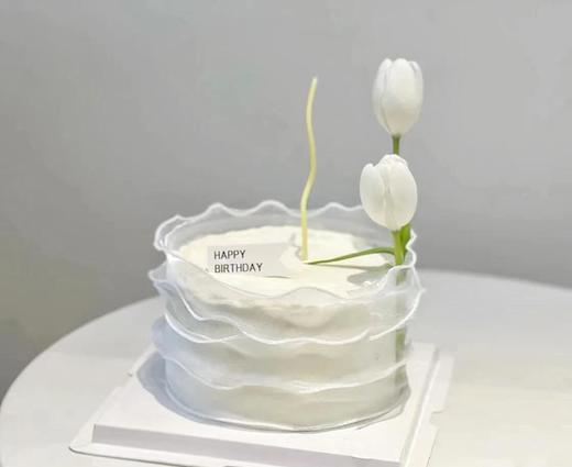 郁金香 商品图2