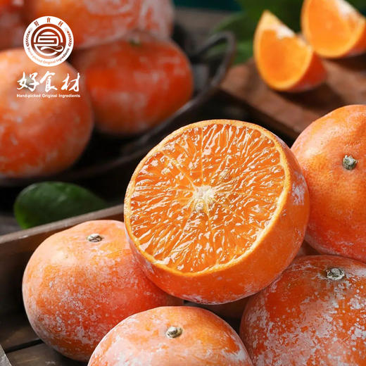 CY-广西茂谷柑 商品图2