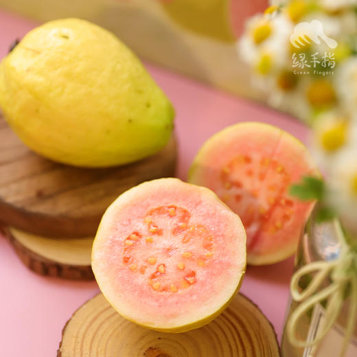 有机胭脂红番石榴（台风丑果，预售，预计一周内发出） | 绿家自产 * Carmine guava | Self-production 商品图2