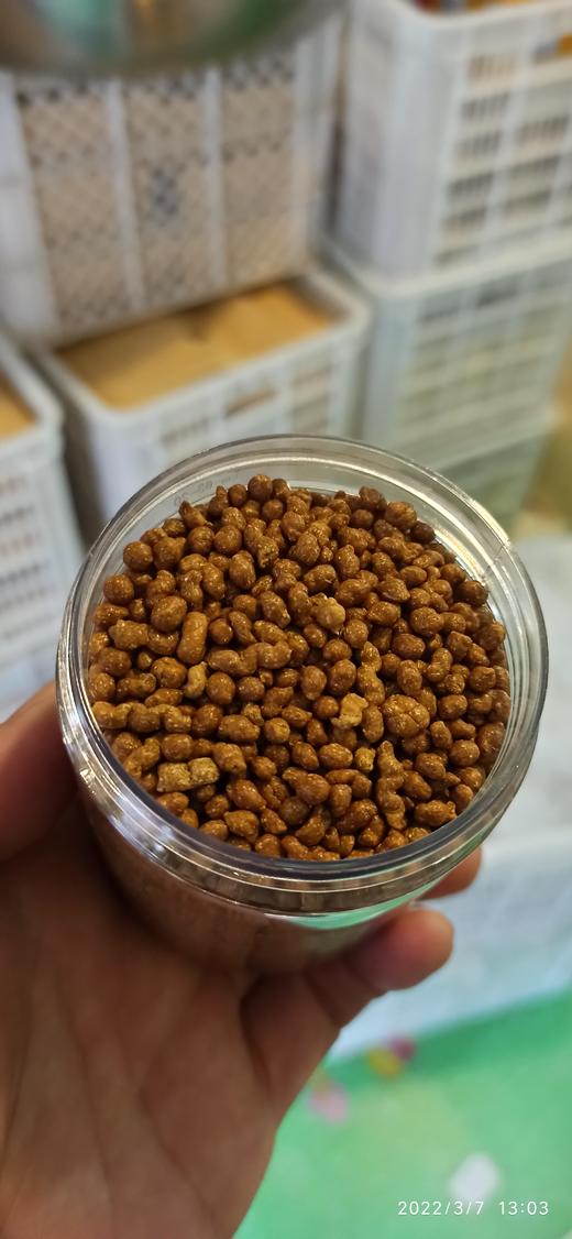 七不姜丸/姜参丸/姜参粉 纯正“七不”小黄姜 原始点 食用内热源150克/180克230克350克 农产品定制 商品图2