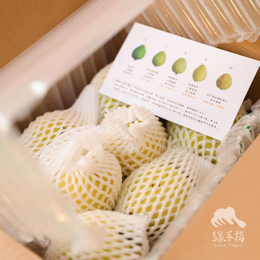 有机胭脂红番石榴（台风丑果，预售，预计一周内发出） | 绿家自产 * Carmine guava | Self-production 商品图3