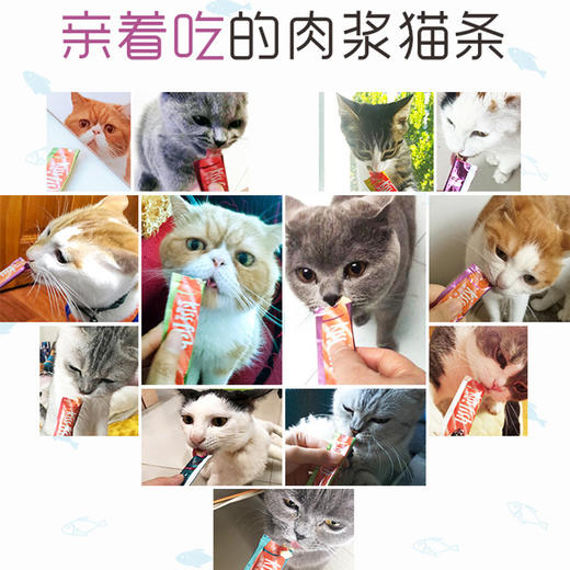 麦富迪亲嘴鱼猫条14g*5支 商品图2