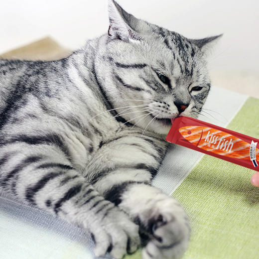 麦富迪亲嘴鱼猫条14g*5支 商品图5