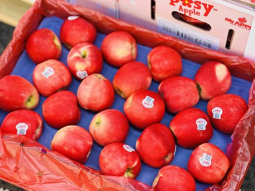 新西兰🇳🇿Posy小花🌸苹果🍎，蜜糖味略带淡淡桃子🍑味，脆甜又松脆 商品图1