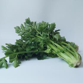 西芹500g｜静物自产