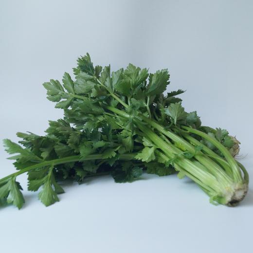 西芹｜静物自产 商品图0