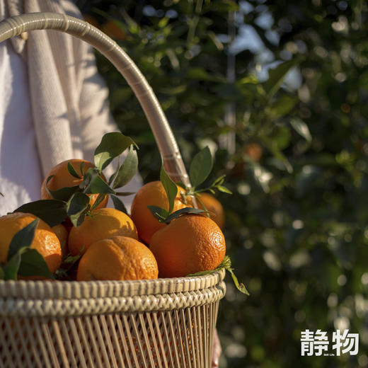 有机沃柑SuperOrah5斤/9.5斤装 |香甜细嫩，多汁清爽｜云南大理【Y】 商品图4