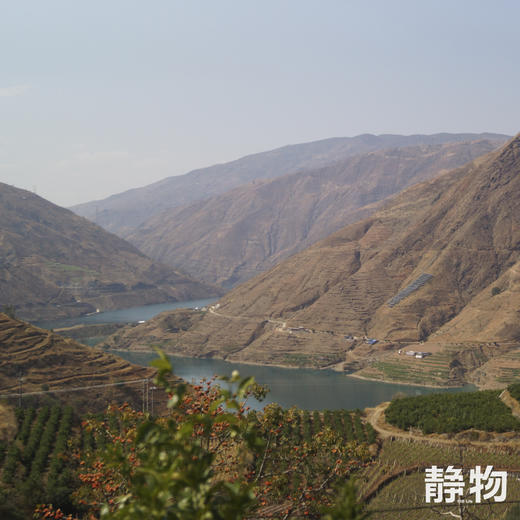 有机沃柑SuperOrah5斤/9.5斤装 |香甜细嫩，多汁清爽｜云南大理【Y】 商品图8