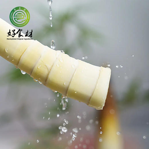 CY-临安春雷笋中果 商品图2