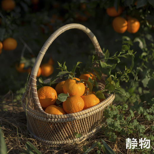 有机沃柑SuperOrah5斤/9.5斤装 |香甜细嫩，多汁清爽｜云南大理【Y】 商品图2