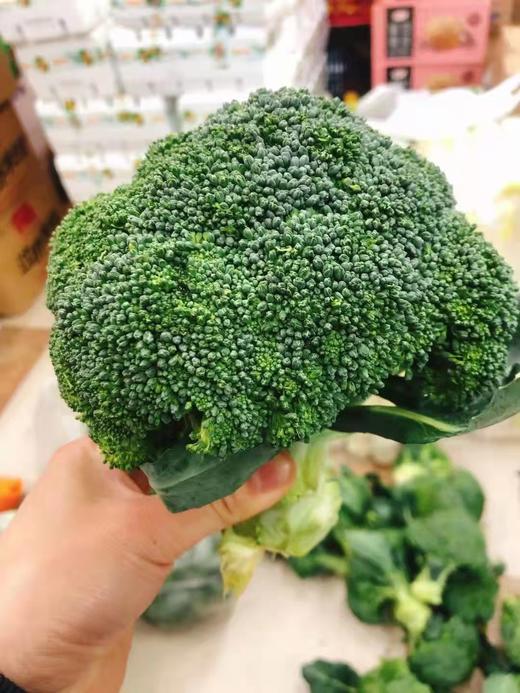 西兰花一个 商品图0