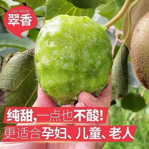 朱鹮有机猕猴桃礼盒装/普通装（翠香） 商品图1