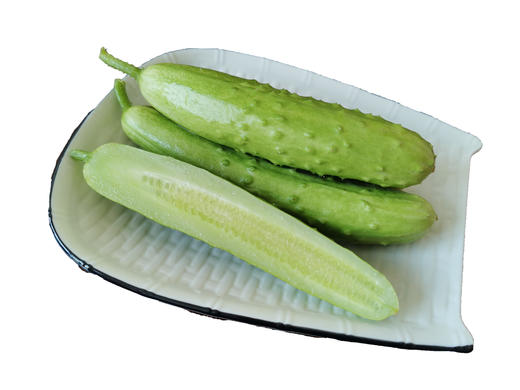 海阳白玉黄瓜4斤装（15根左右） 商品图0