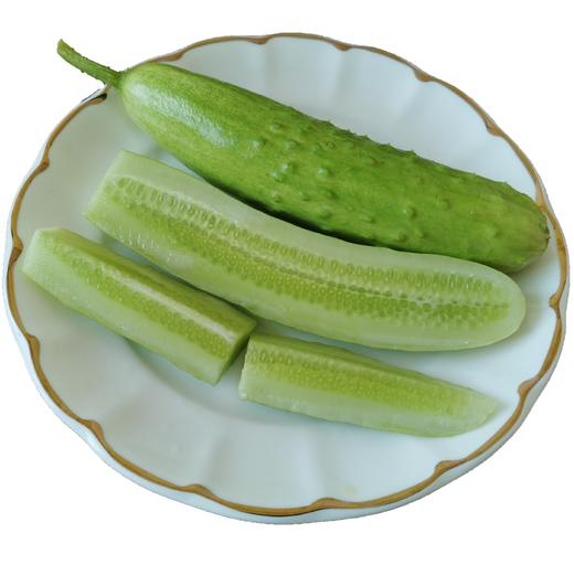海阳白玉黄瓜4斤装（15根左右） 商品图2