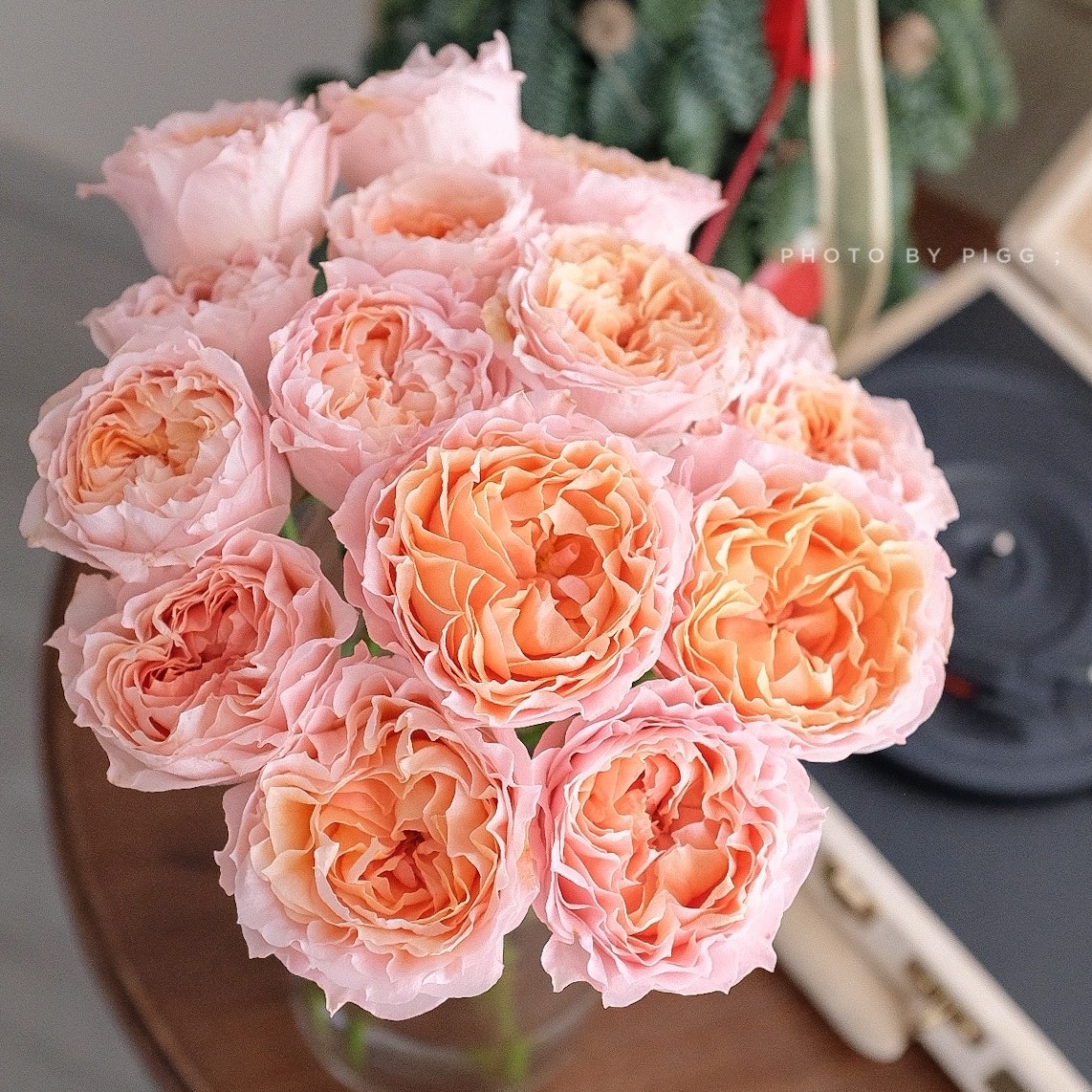 本周闪购||进口肯尼亚多头玫瑰【折射】,限量限购