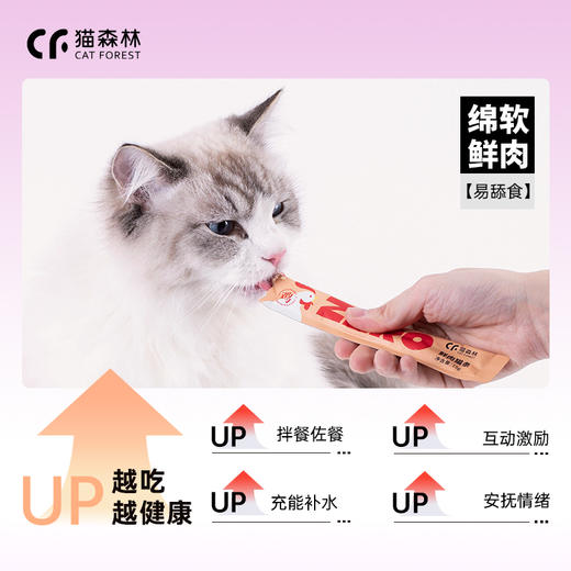 猫森林猫条（美毛功能猫条） 商品图2