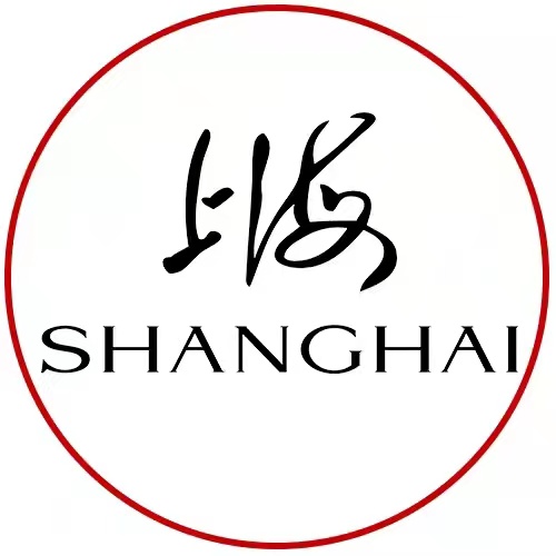 上海牌手表66周年全自动机械表镂空防水休闲商务夜光钢带男表6008