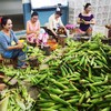 【西双版纳小包谷】香糯玉米 软糯香甜 新鲜玉米现掰现做 加热即食 代餐必备 2斤装 4-6根左右 3种规格任选 商品缩略图5