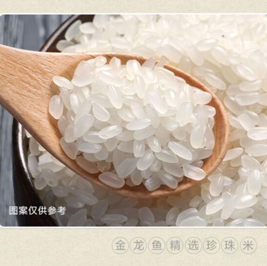 金龙鱼大米精选珍珠米5kg*1袋【BC】【YBLY】 商品图1
