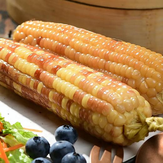 【西双版纳小包谷】香糯玉米 软糯香甜 新鲜玉米现掰现做 加热即食 代餐必备 2斤装 4-6根左右 3种规格任选 商品图0