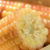 【西双版纳小包谷】香糯玉米 软糯香甜 新鲜玉米现掰现做 加热即食 代餐必备 2斤装 4-6根左右 3种规格任选 商品缩略图11