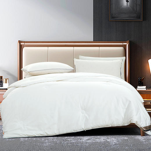 鑫缘 铂金系列纯桑蚕丝被 AJPD 商品图0