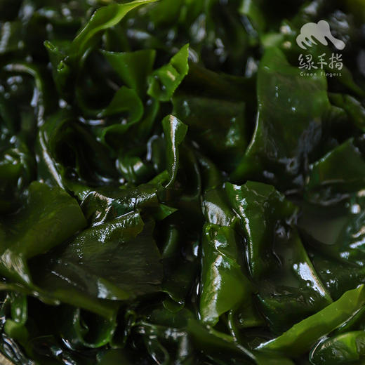 生态熟干裙带菜 | 合作生产 * Eco-Undaria pinnatifida | Coprodution 商品图4