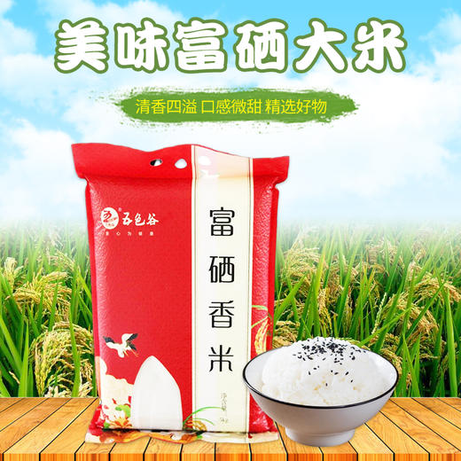海伦五色谷富硒香米5kg两面砖 商品图0