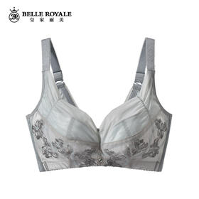 【特价商品不退不换】皇家丽美调整型文胸大胸显小薄杯聚拢内衣WW1658-1