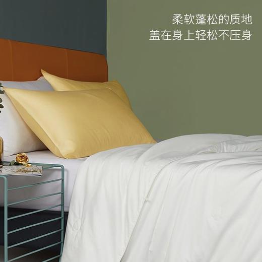 【秋冬换新 新疆直发】新疆长绒棉胎棉被多种规格尺寸 商品图1