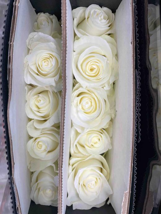 【秒杀福利】骄傲  20枝/扎 商品图5