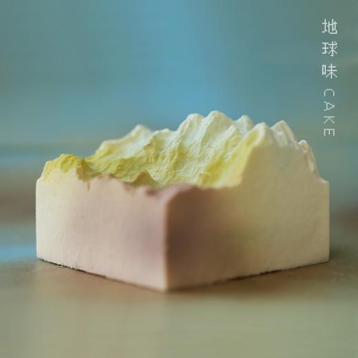 地球味蛋糕，四种口味一次享尽！#舌尖上的Love&Peace 商品图0