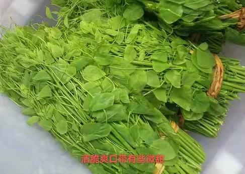 323赤苍藤（姑娘菜）250克一份 商品图0