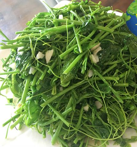 323赤苍藤（姑娘菜）250克一份 商品图2