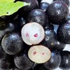 嘉宝果（精品果）甜蜜蜜口感棒棒哒 商品缩略图4