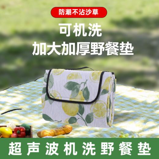【全新超声波野餐垫】折叠收纳防潮地垫！居家野餐旅行出游便携【214-1】 商品图1