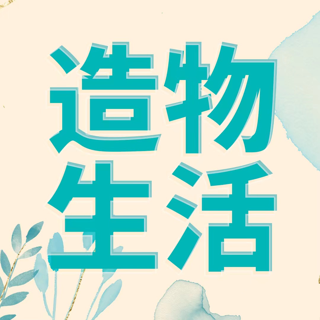 造物生活241004
