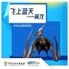 贵地博|【飞上蓝天】翼龙能带我们学会飞行吗？ 商品缩略图0