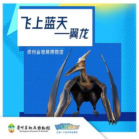 贵地博|【飞上蓝天】翼龙能带我们学会飞行吗？