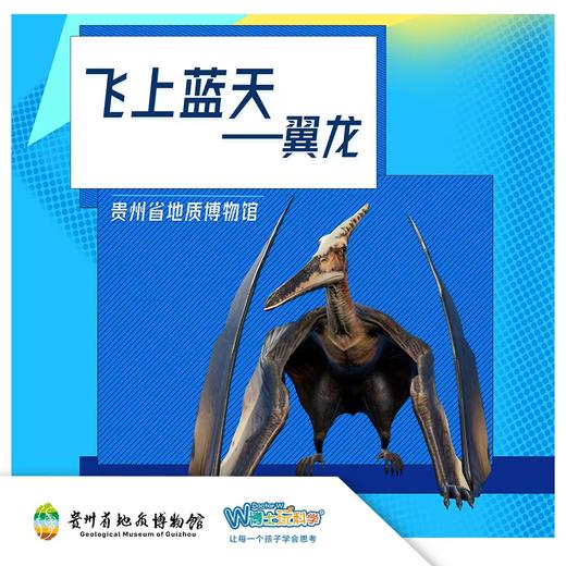 贵地博|【飞上蓝天】翼龙能带我们学会飞行吗？ 商品图0