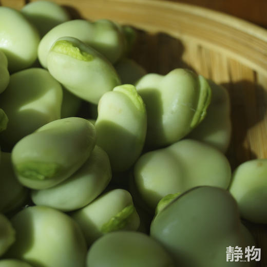 【春季限定】新鲜带壳蚕豆1.5kg 【Y】 商品图3