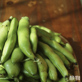 【春季限定】新鲜带壳蚕豆1.5kg 【Y】