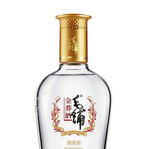 劲牌毛铺苦荞酒42度荞香型白酒金荞500ml醇香口感 商品图3