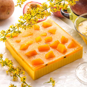 最佳拍档 芒果/西番莲 水果生日蛋糕