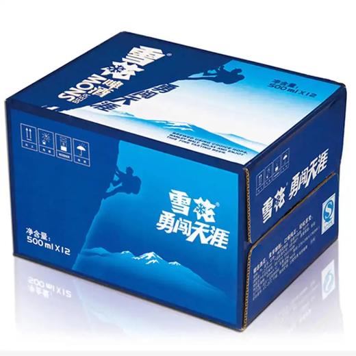 雪花啤酒勇闯天涯 500ml*12听/箱【LY】 商品图2