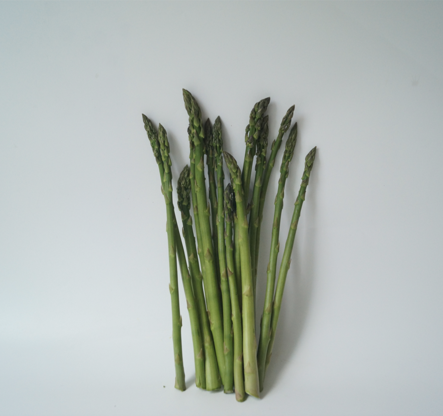 芦笋300g｜静物自产