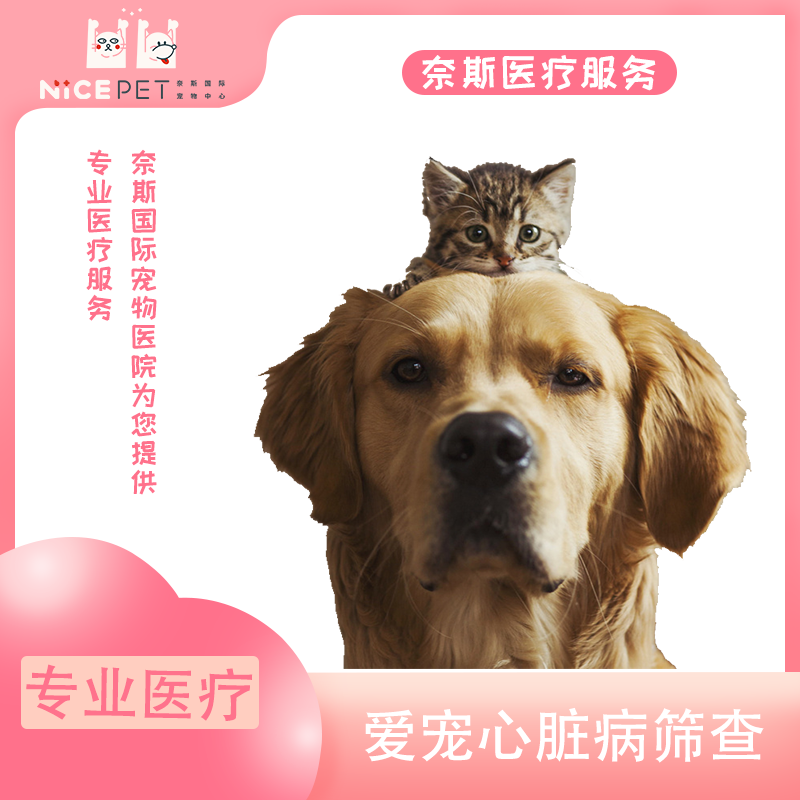 奈斯宠物医院宠物彩色超声检查