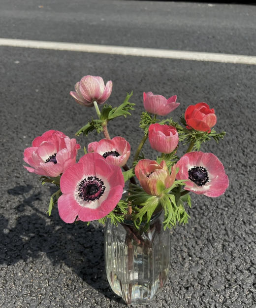 银莲花【秋牡丹】  9-10支/扎  多色可选（单瓣） 商品图6