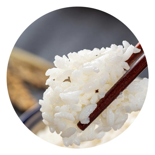 米妹妹 五常有机稻花香大米5kg 黑龙江 商品图4